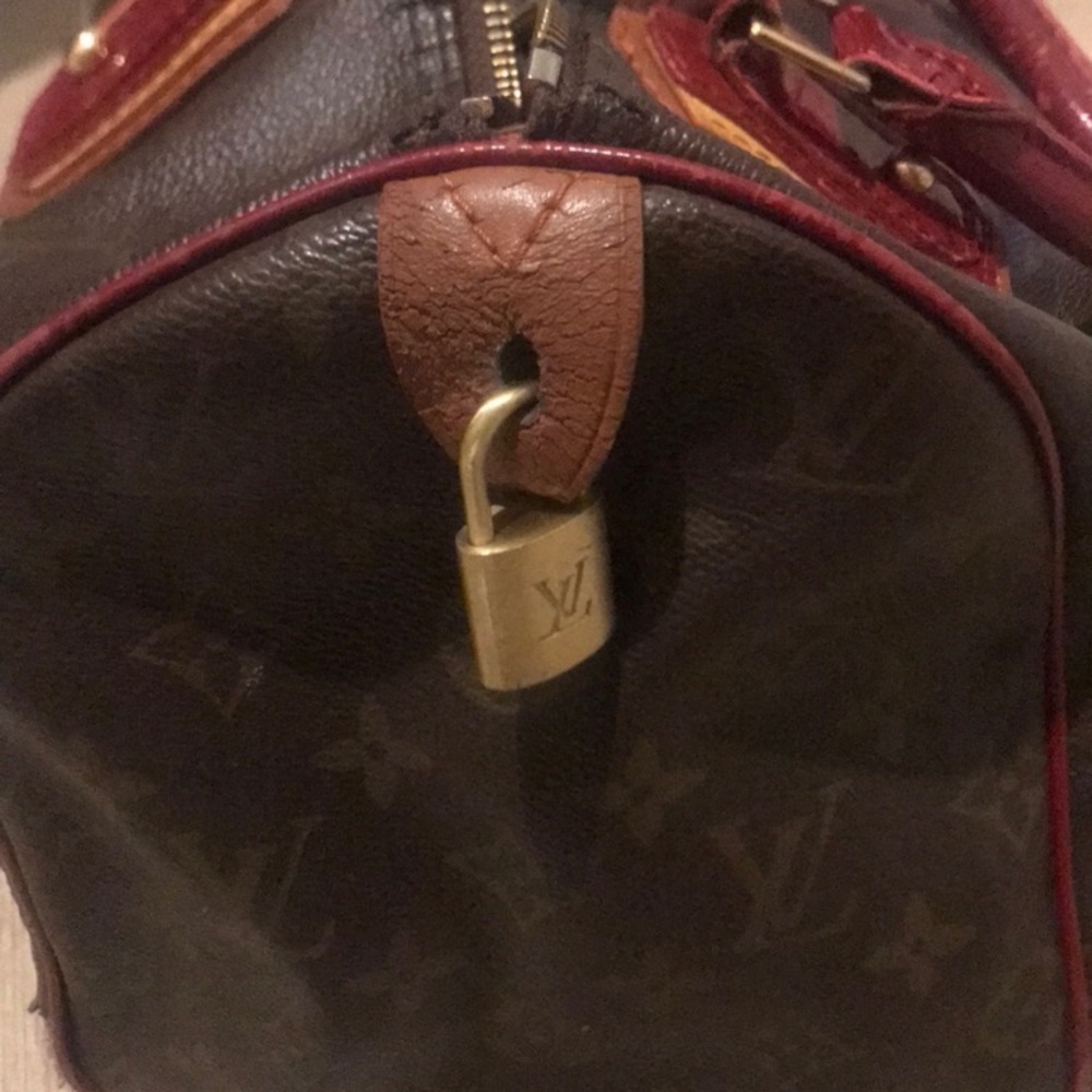 Louis Vuitton Speedy Special Edition Bag - Picture 6 of 16